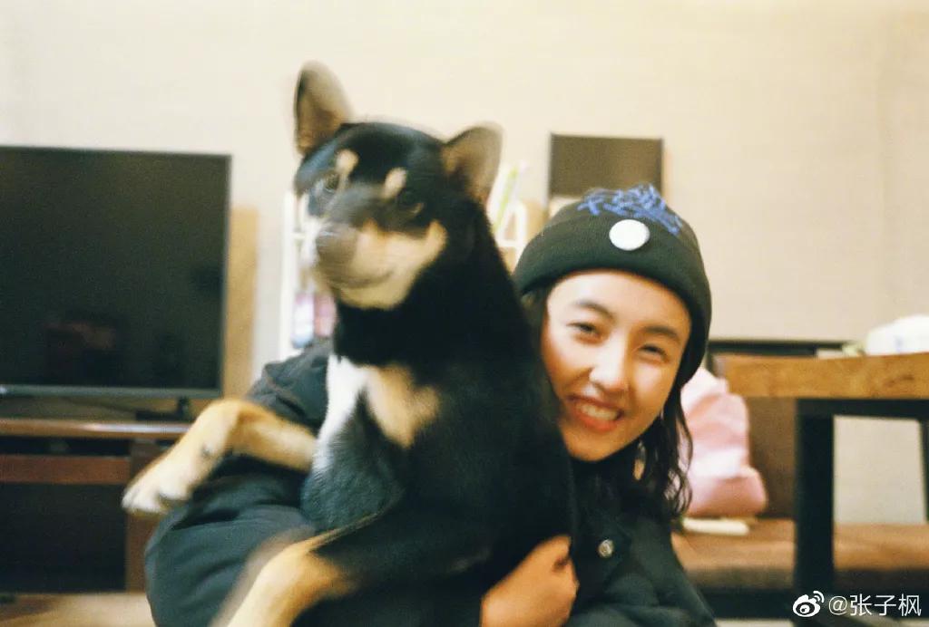 张子枫艺考成绩一鸣惊人,张子枫艺考为什么只考北电