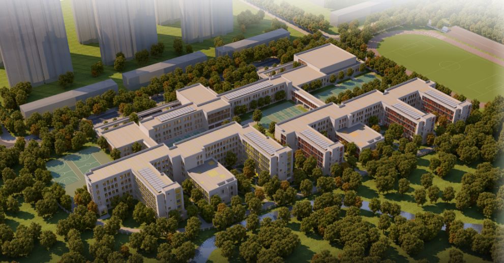 哪个区学校好点,新增学校最多招生多少