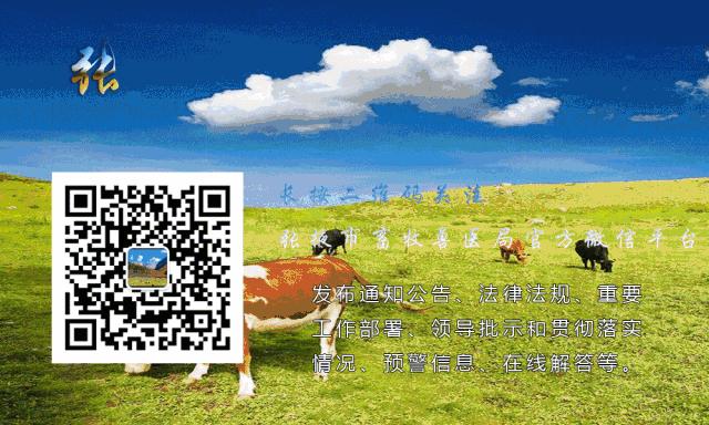 张掖大佛寺景区免费,张掖大佛寺在张掖市区吗