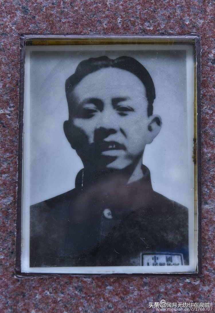 济南的法国梧桐,济南梧桐树美景