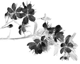 为什么叫博山,为什么是博山