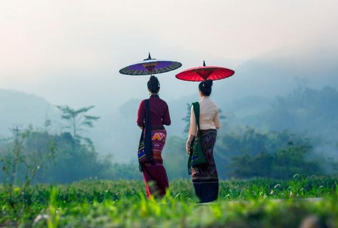 西双版纳热带雨林就是原始森林吗,西双版纳离城区近的原始沟谷雨林