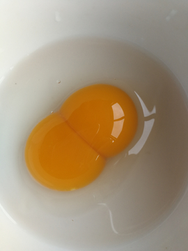 赌博：他先赢回一个媳妇，后输掉一个孙子，最后变成一人独守空房