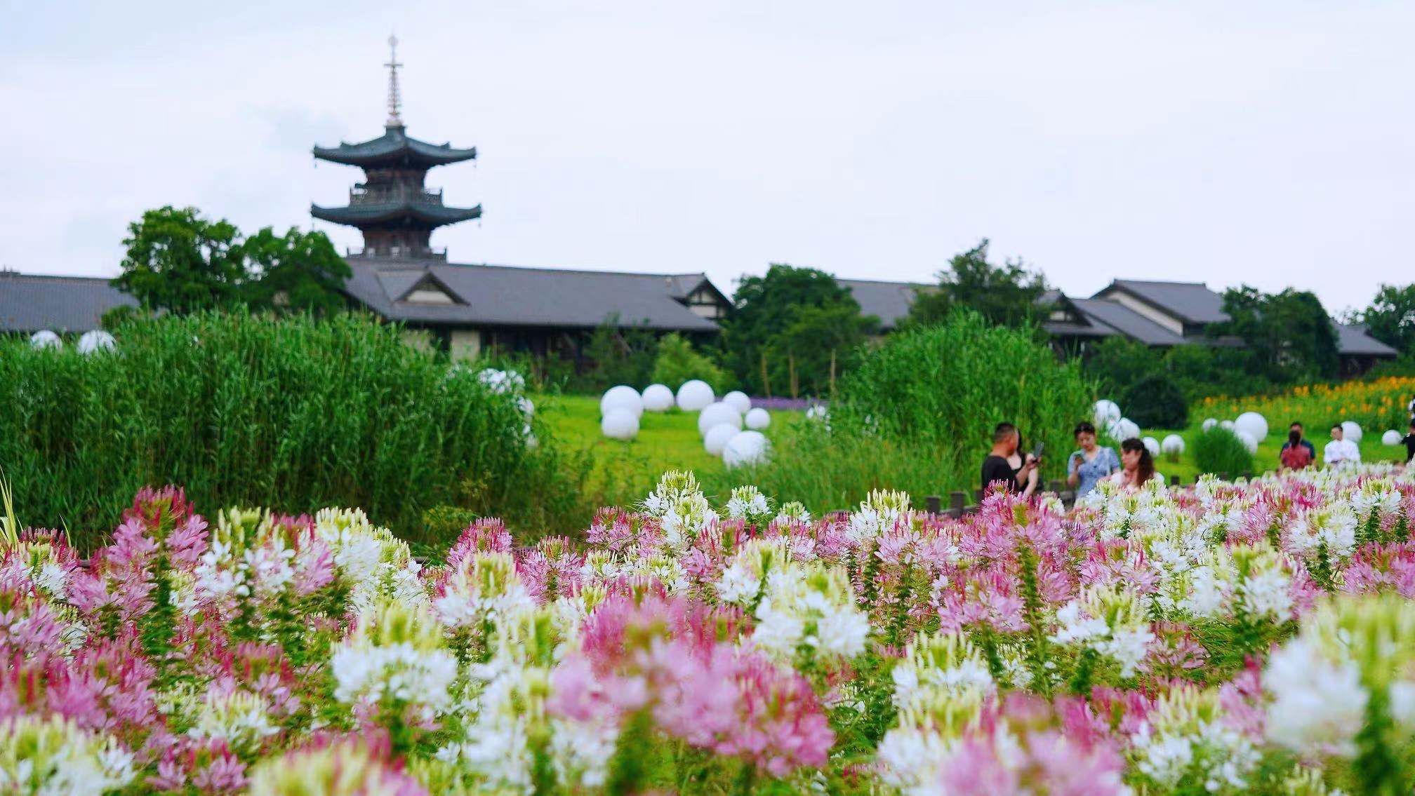 江苏被严重低估的景点,江苏游玩有哪些景点值得去打卡