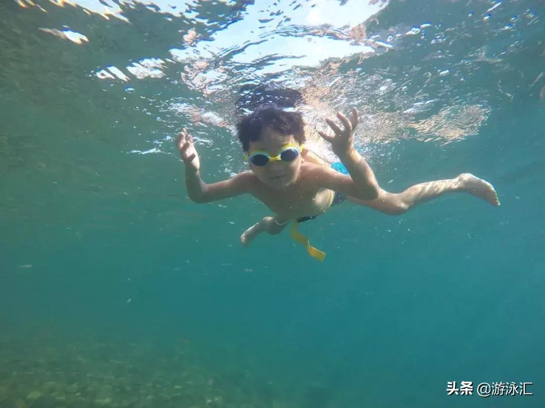 蛙泳腿用力技巧,蛙泳腿技巧视频