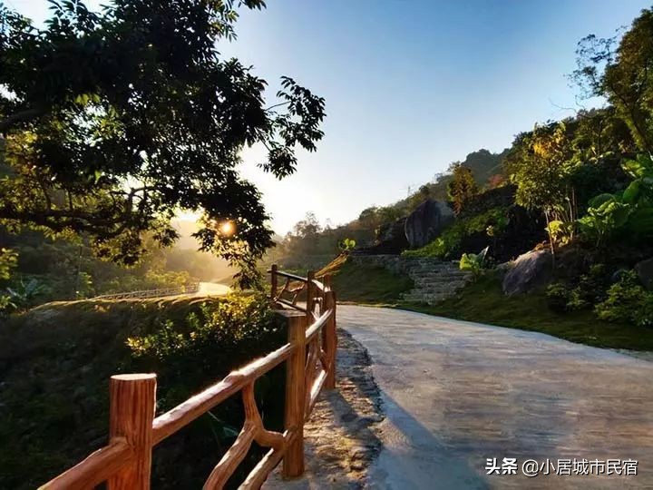 从化旅游景点大全樱花,从化樱花旅游景点