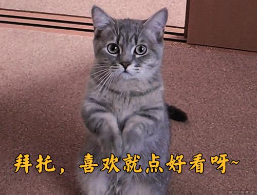 网红情侣“全裸”环游世界，拍下数千张裸体，只为告诉人们…