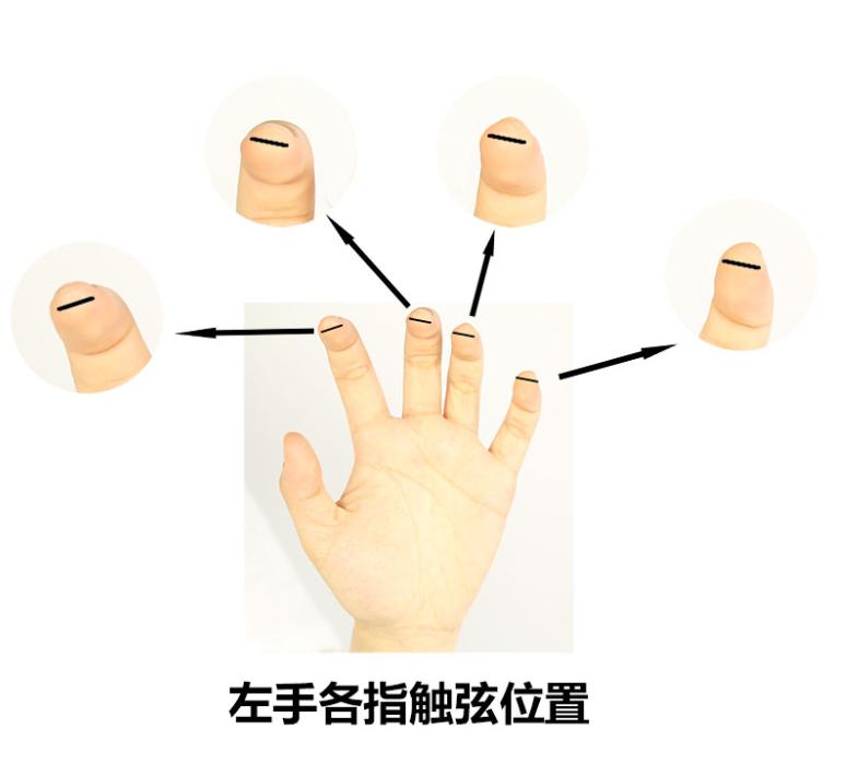 吉他怎么学指法,吉他如何学指法