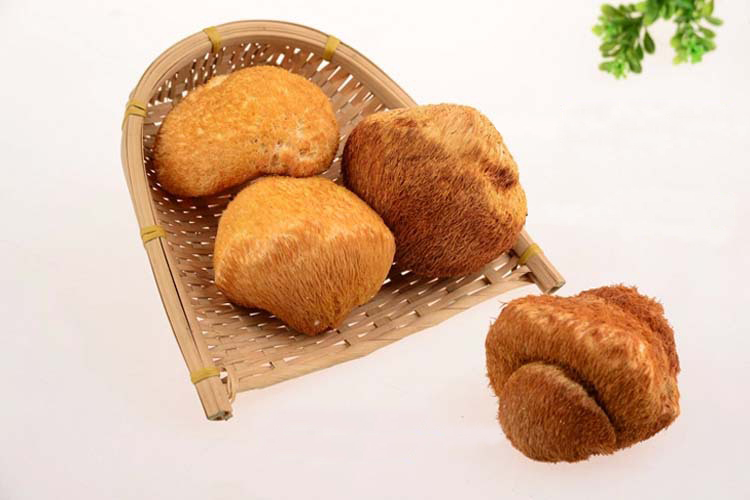 头发特别干燥像枯草该怎么保养,头发干枯毛躁像枯草怎么养好