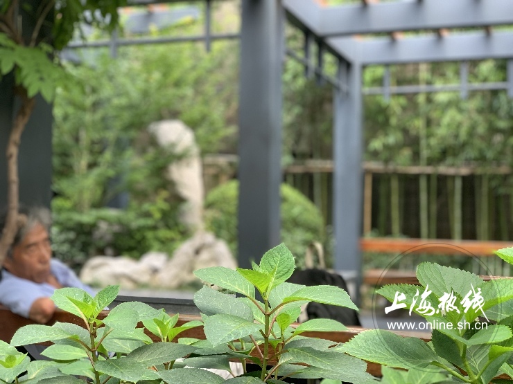 魔都100：藏在静安市中心最袖珍的公园重温老上海的儿时记忆