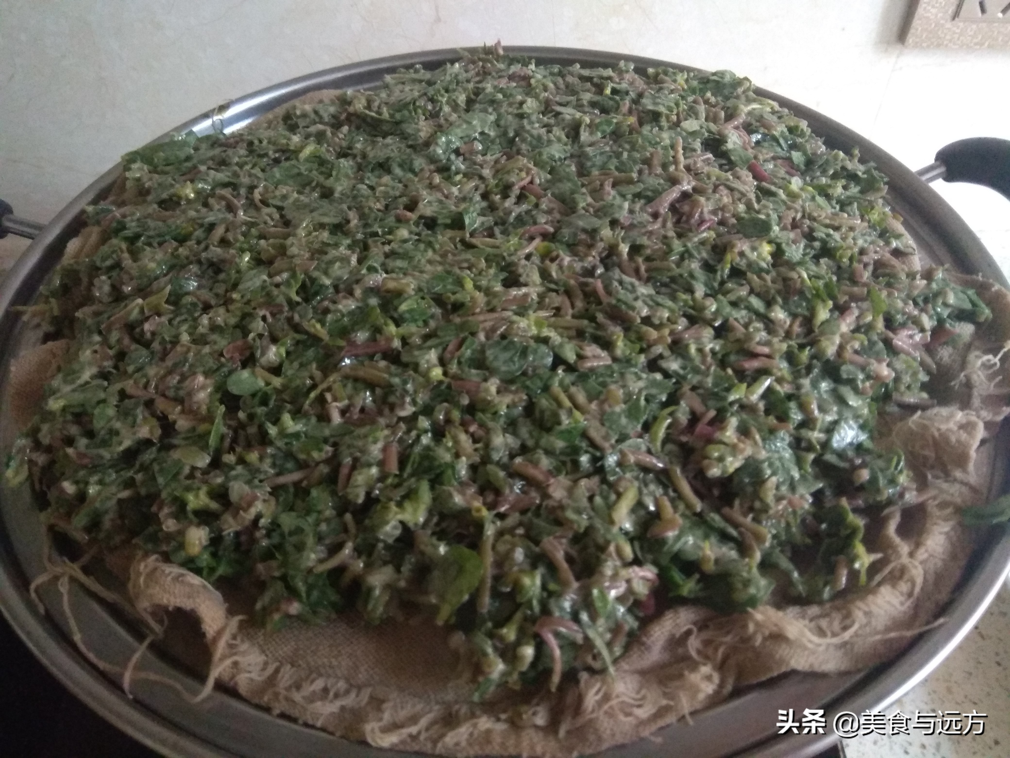 晒干的马齿苋怎么吃有什么功效,马齿苋最好吃的做法及禁忌