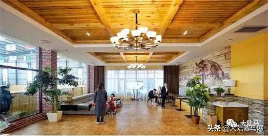 燕龙马业一匹温血马多少钱,国内繁育温血马