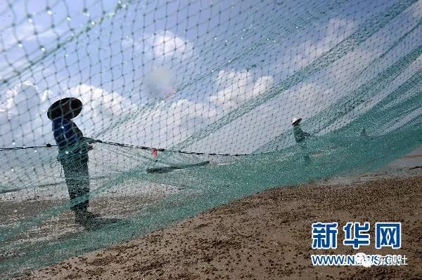 东兴的意义,东兴是个浪漫的城市