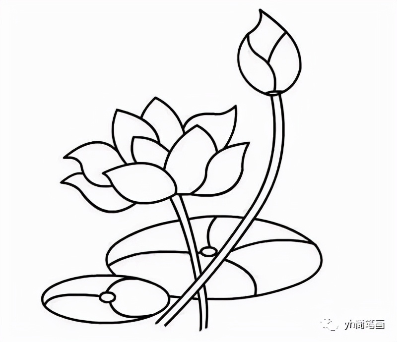 简笔画是怎么画的呢,简笔画绘画教程小动物