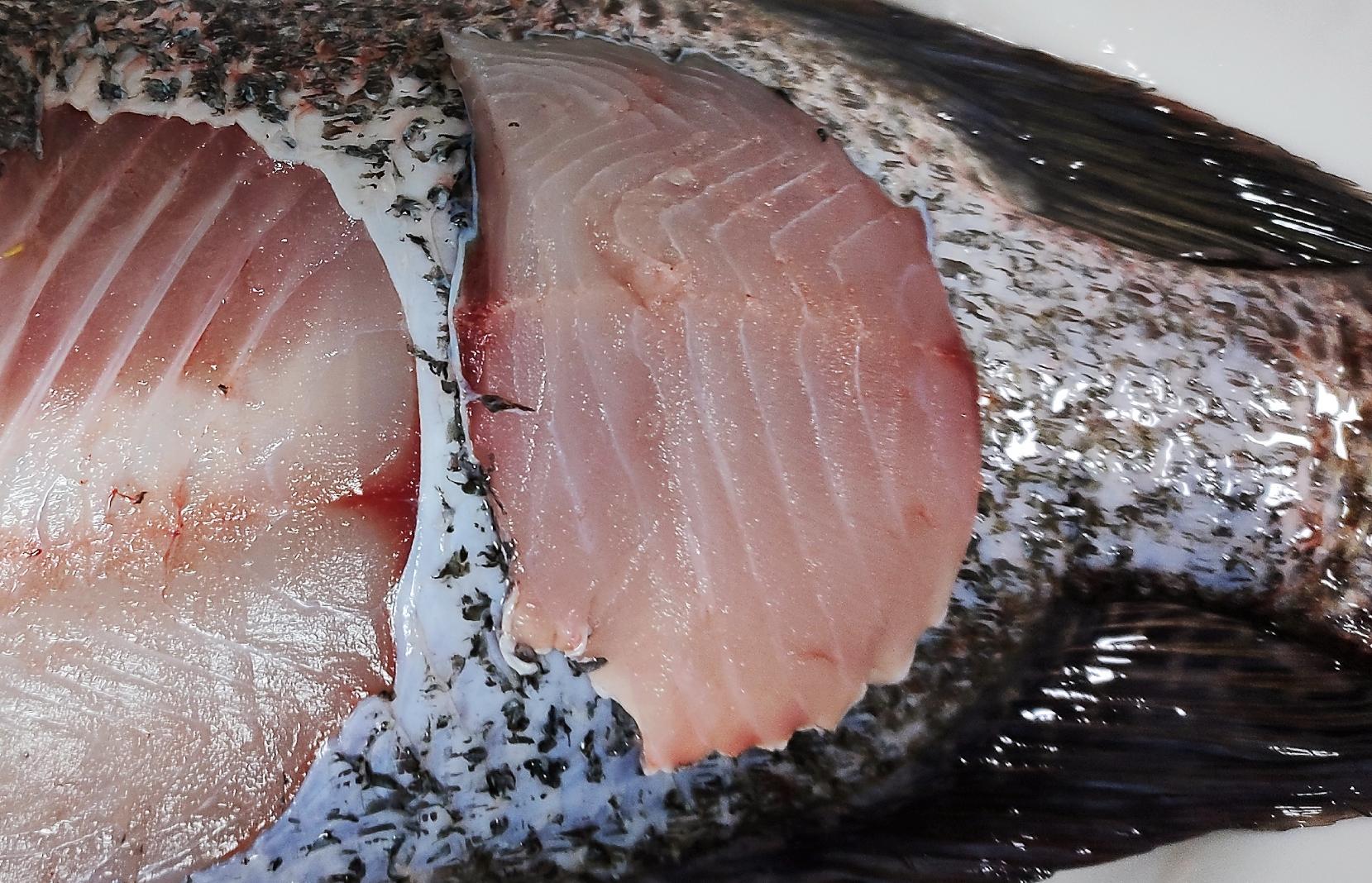 海信259升三门节能冰箱,海信1级4开门无霜节能冰箱价位