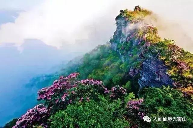 “色香味形”面面俱到!这样的南江你见过吗?