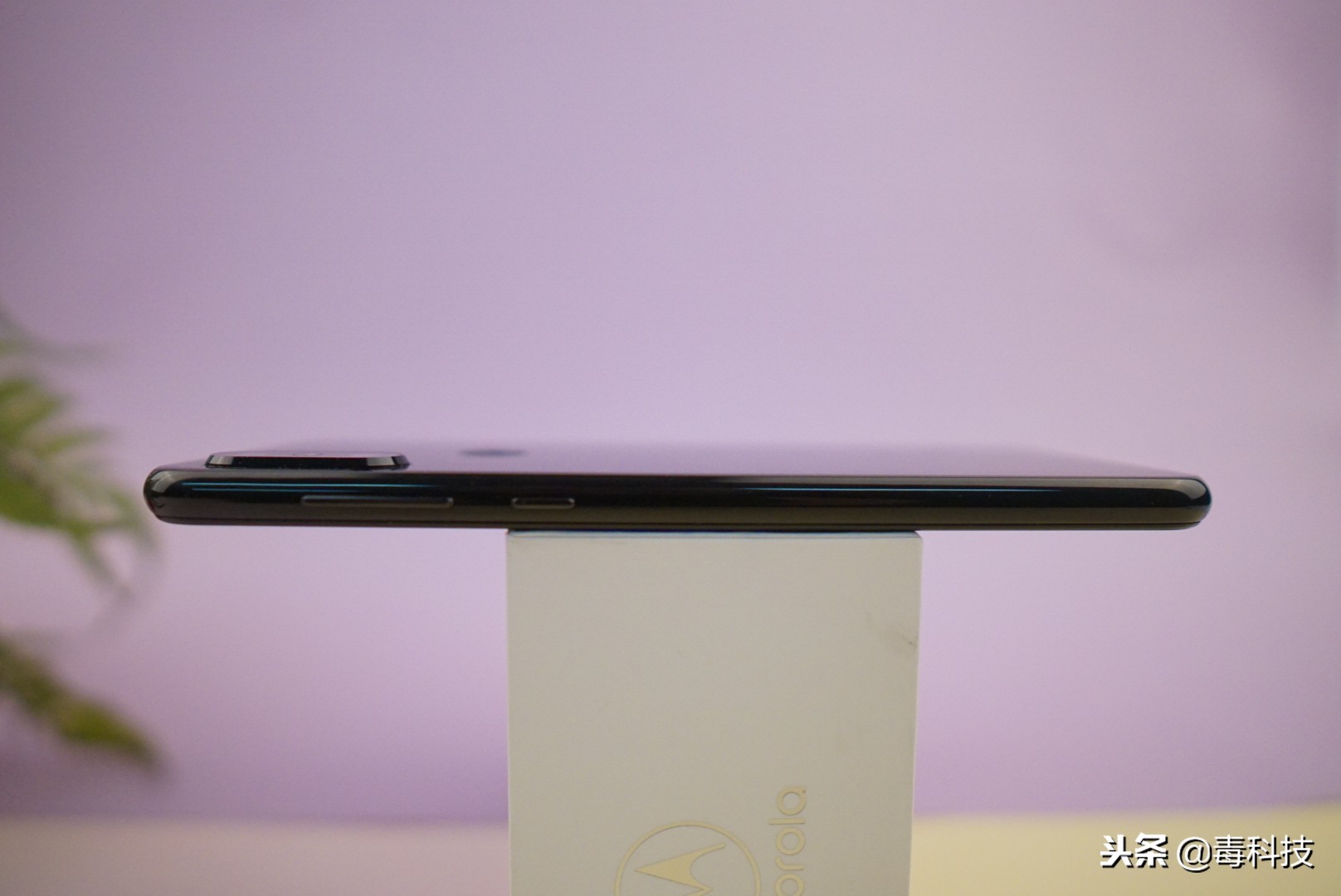 颜值和性能汽车,颜值和性能并存的电车