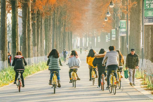 在武汉必做的20件事,不骗人成不了大事