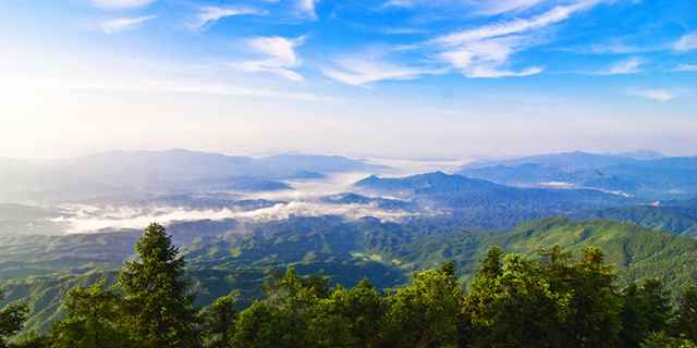 溪水潺潺自然氧吧,天然氧吧溪水