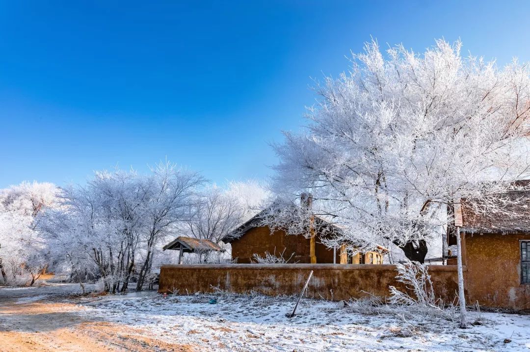 太原冬天去哪儿玩,天津冬天去哪儿玩