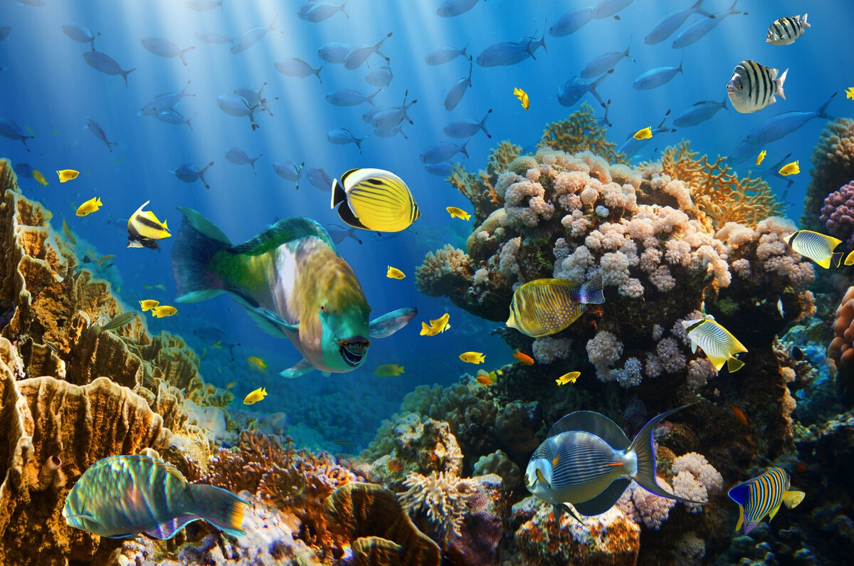 cnn评选亚洲影响力人物,cnn评选中国40个最美的地方