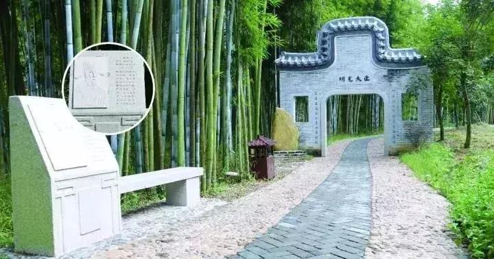 从化一日游最佳去处民宿,从化旅游线路攻略大全最新