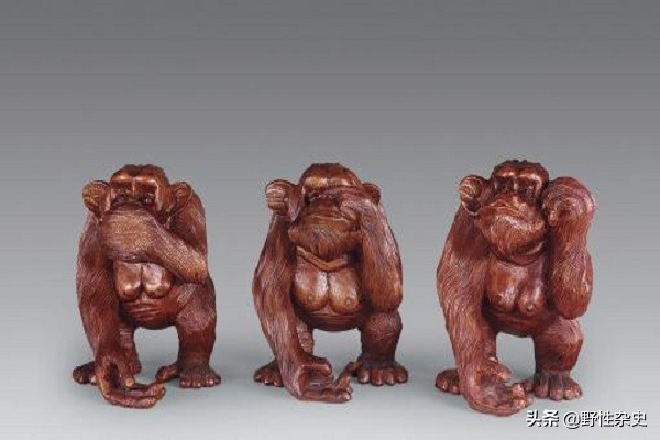 三不猴背后的故事,三不猴和四不猴有什么区别