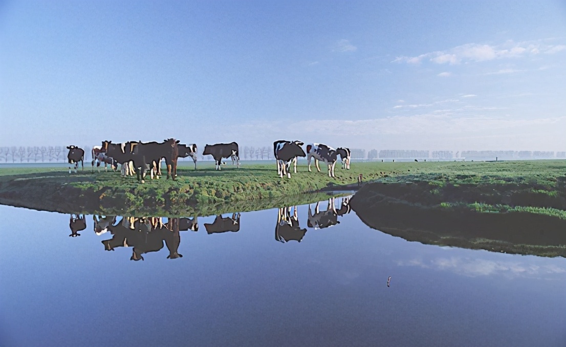 中国人吃一块肉,中国人吃肉对亚马逊雨林有影响