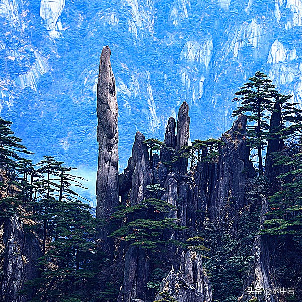 黄山的十大奇松介绍,黄山七十二峰