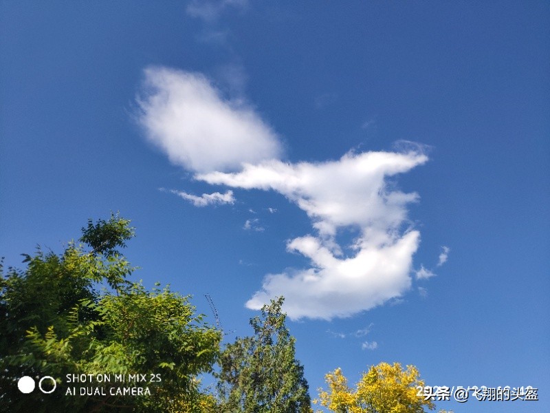 戒台寺郊野公园攻略,戒台寺郊野公园