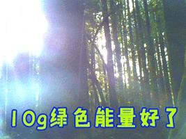 日本人对斑的看法,日本人对日本的看法