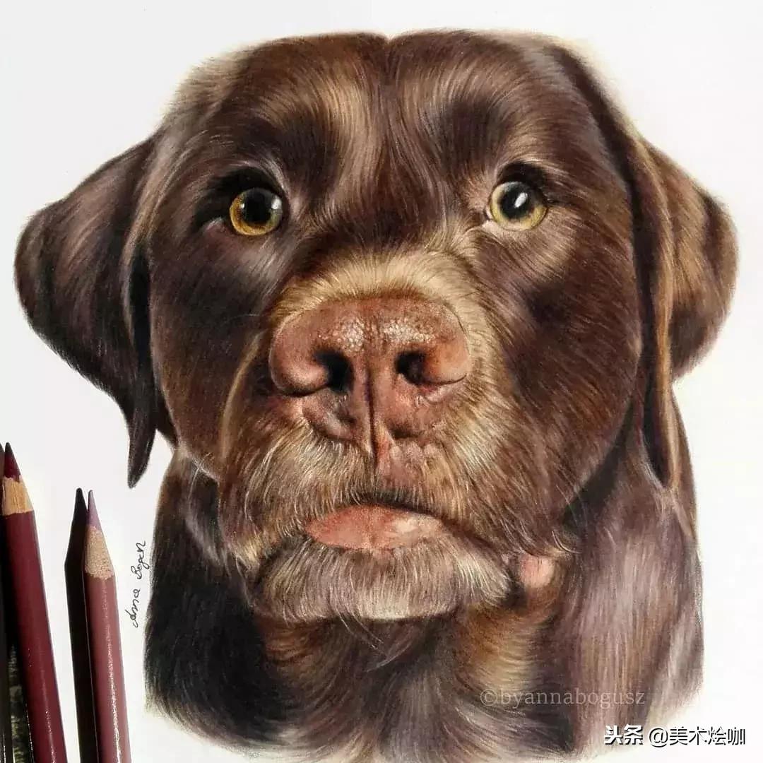 彩铅画教程超写实零基础入门,超写实彩铅画高清大图水果组合