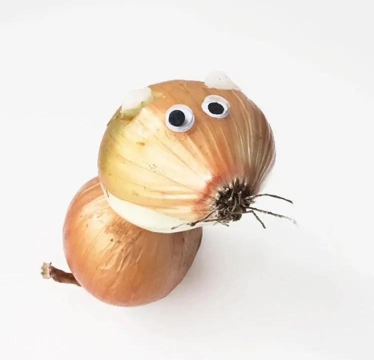 菜狗设计师,菜狗主理人