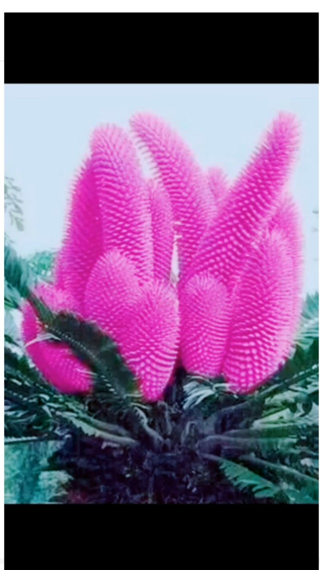 在职场遇到不公平待遇怎么办,怎样面对职场不公平的待遇