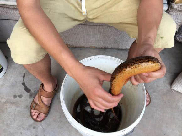 钓黄鳝怎么找洞,钓黄鳝找石头洞的技巧