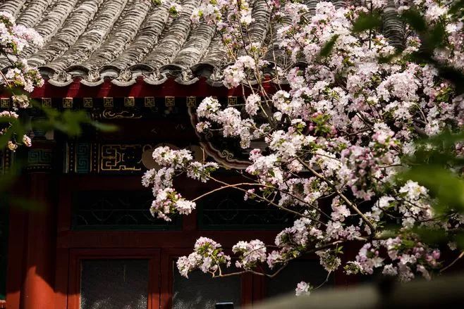 奇特有趣的问题,史上最稀奇的问题