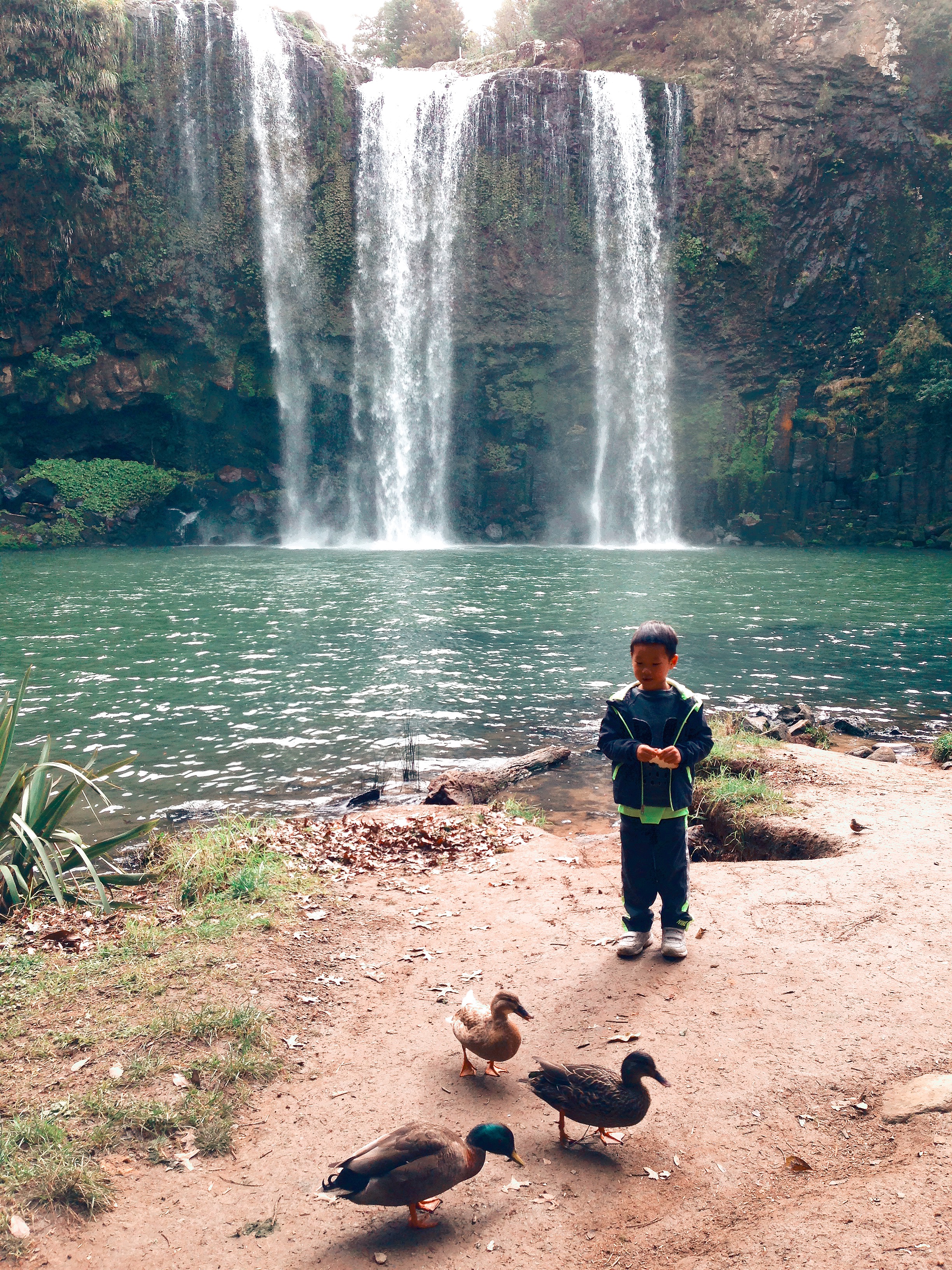 不到4W元的14年中古车，如何陪我闯荡奥克兰（附小众景点干货）