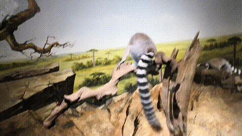 成都首条夜环线，太太太太好玩了！