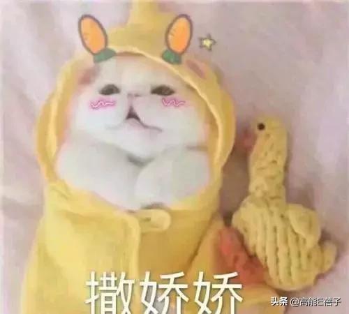 甜而不腻的剧片段,甜但不腻的剧