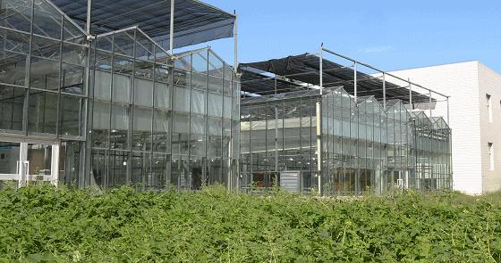 温室大棚骨架有哪些,温室大棚的骨架都有哪些