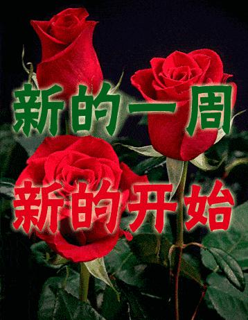 周一早安问候语表情,周一早上好问候语表情