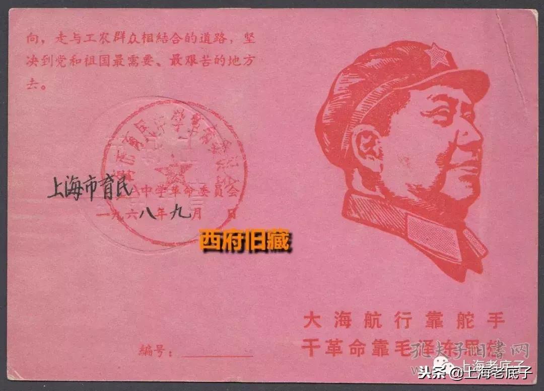 「川沙县篇」回望上世纪八九十年代的上海学校，有侬的母校伐？