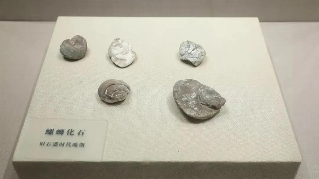 最正宗的广西螺蛳粉推荐,为什么螺蛳粉老被叫做广西螺蛳粉