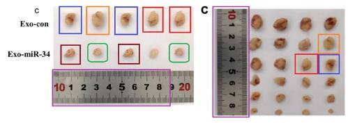 南昌大学第二附属医院，沧州中心医院等单位发表的sci论文遭质疑