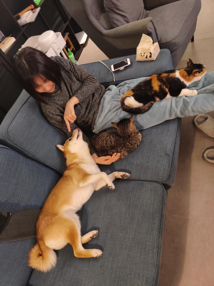 支付宝最新架构,支付宝软件神秘面纱