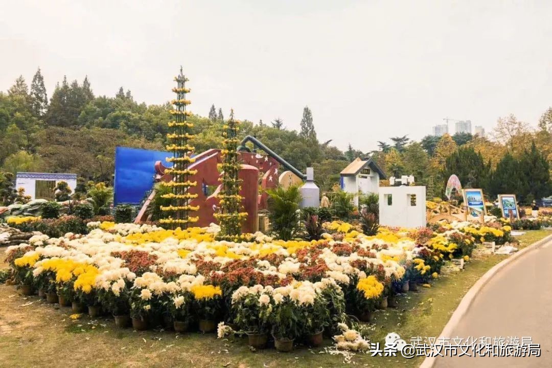 武汉菊花旅游攻略,花点时间武汉天地店