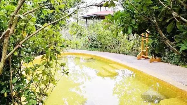 曲靖这31个景点你都去过了吗,曲靖千亩花海美景