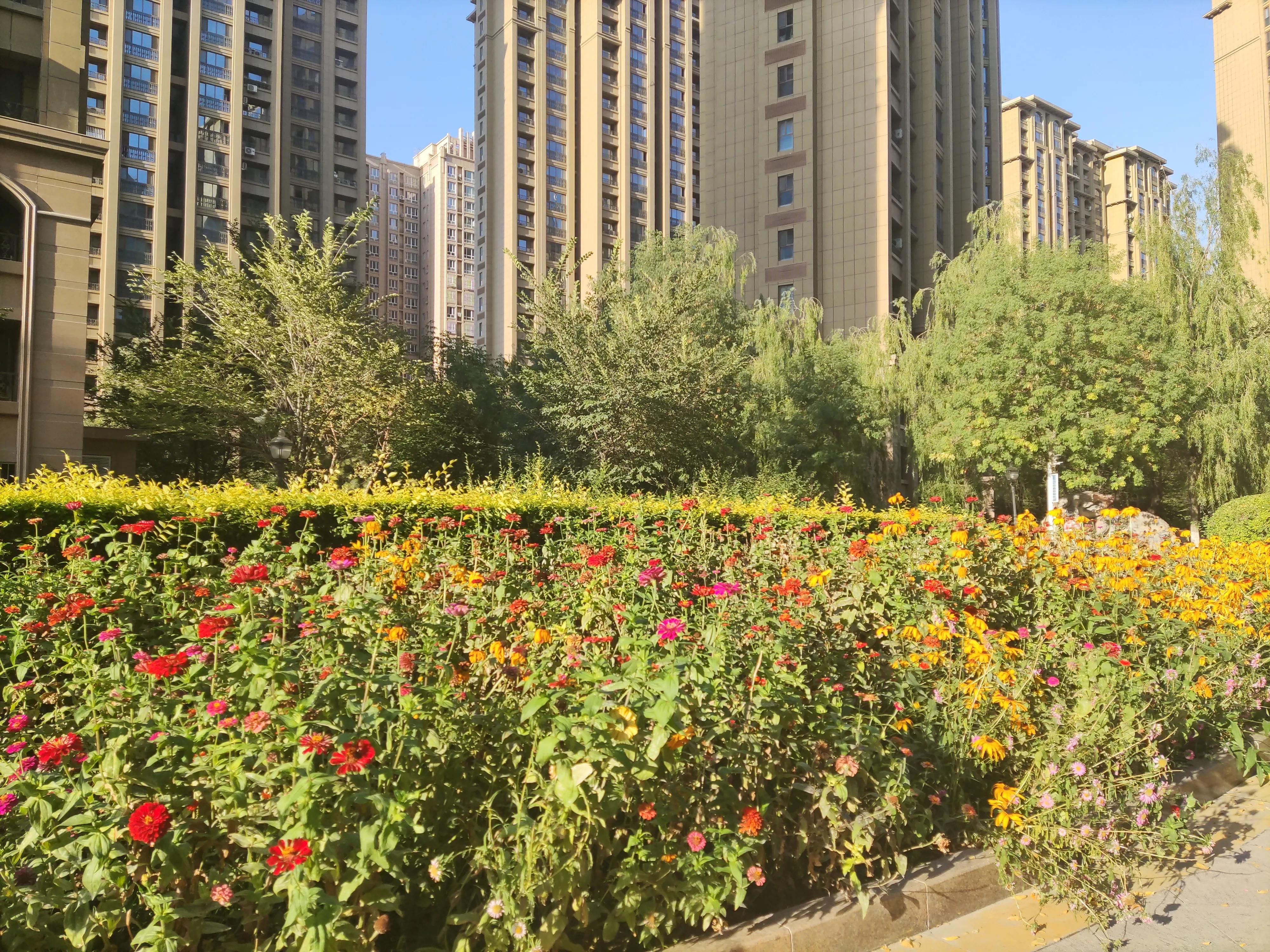 乌鲁木齐绿化最好楼盘,乌鲁木齐市绿化最好的街道视频