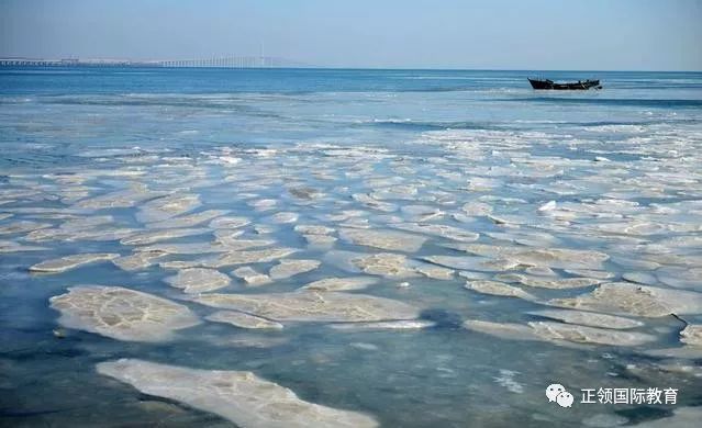 化学与生物的联系紧密吗,化学与生物技术的关系