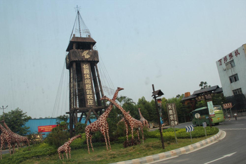 济南千佛山一日游最佳攻略,佛山周边泡温泉的地方一日游